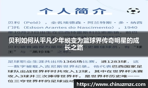 智博1919